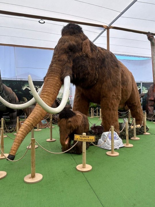 /dino-adventure-llega-a-copiapo-con-un-viaje-jurasico-y-de-la-era-del-hielo