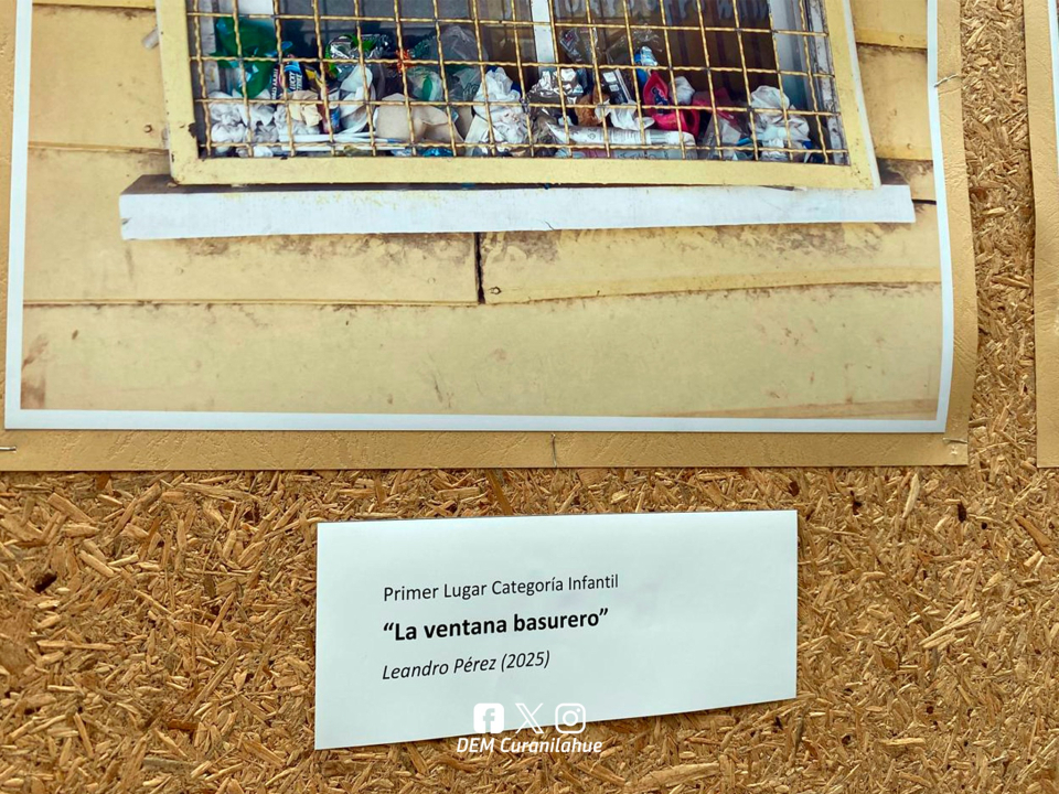 /estudiante-de-curanilahue-obtiene-primer-lugar-en-concurso-fotografico