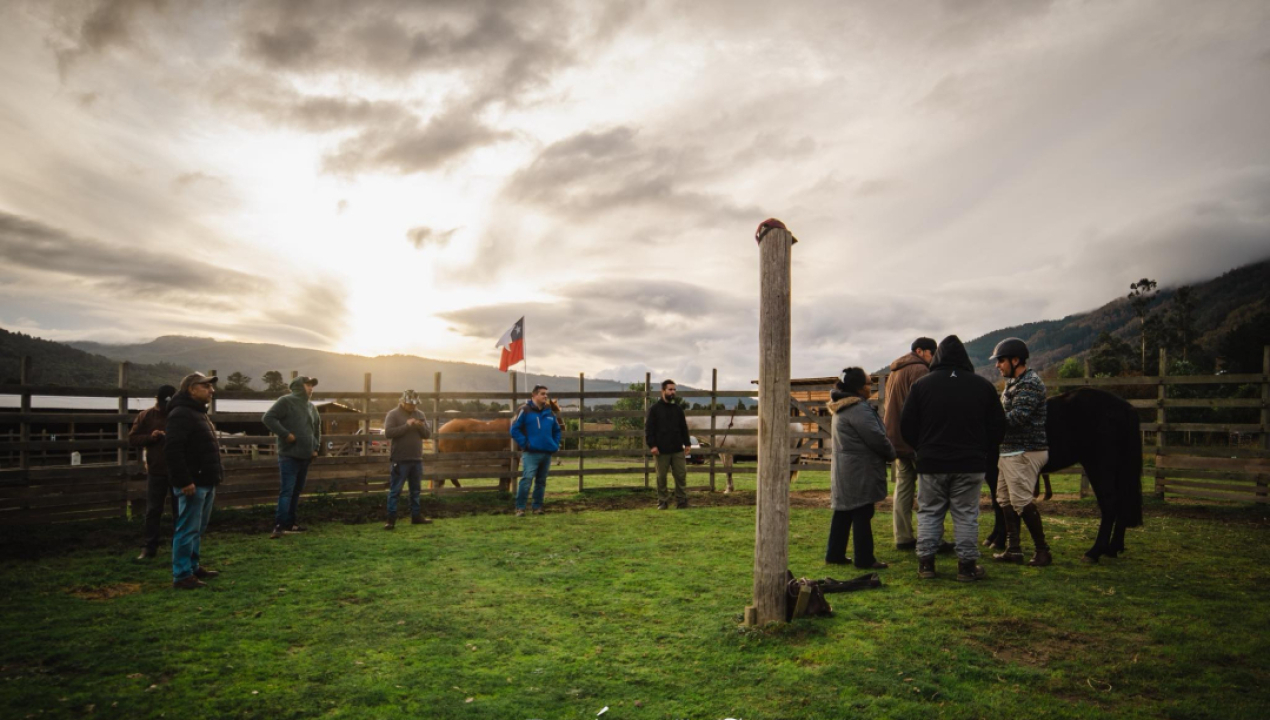 /agricultores-se-capacitan-en-cuidado-y-manejo-sanitario-de-equinos