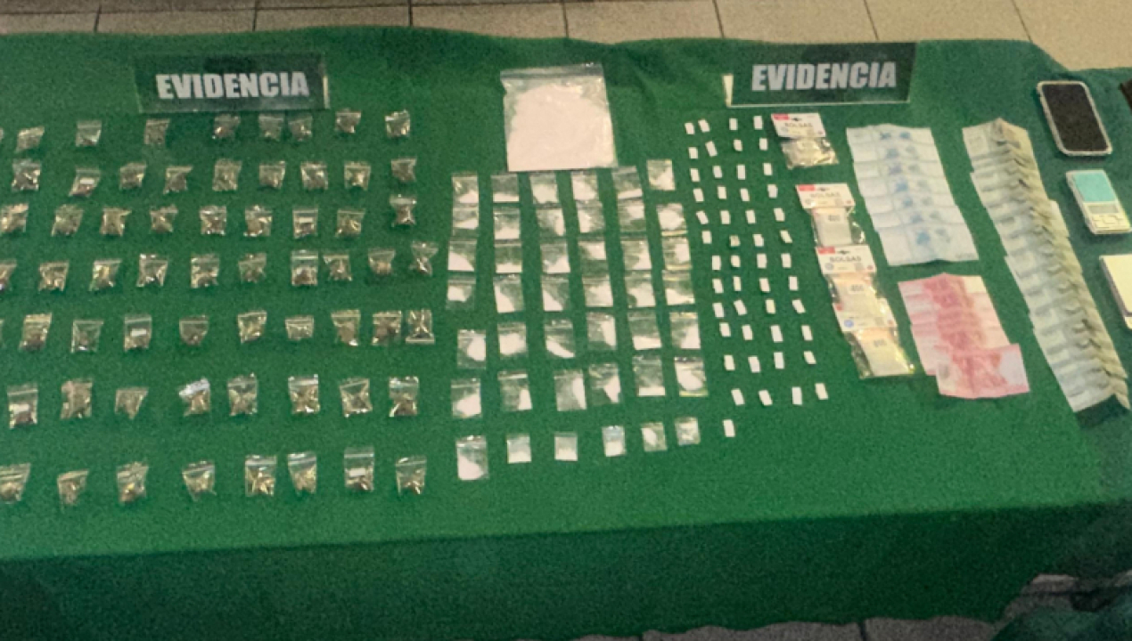 /detenidos-por-infraccion-a-la-ley-20-000-en-sector-pehuen