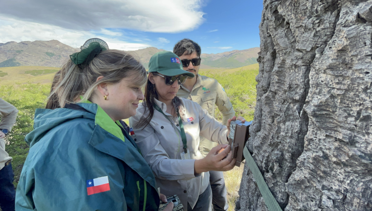 /durante-el-ultimo-mes-se-han-realizado-3-registros-sag-y-conaf-instalan