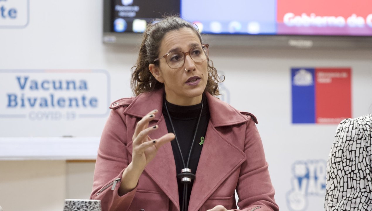 /entrevista-minsal-por-gripe-aviar-si-ve-un-animal-muerto-o-enfermo-no-lo-toque-aunque-sea-su-gallina-de-la-casa