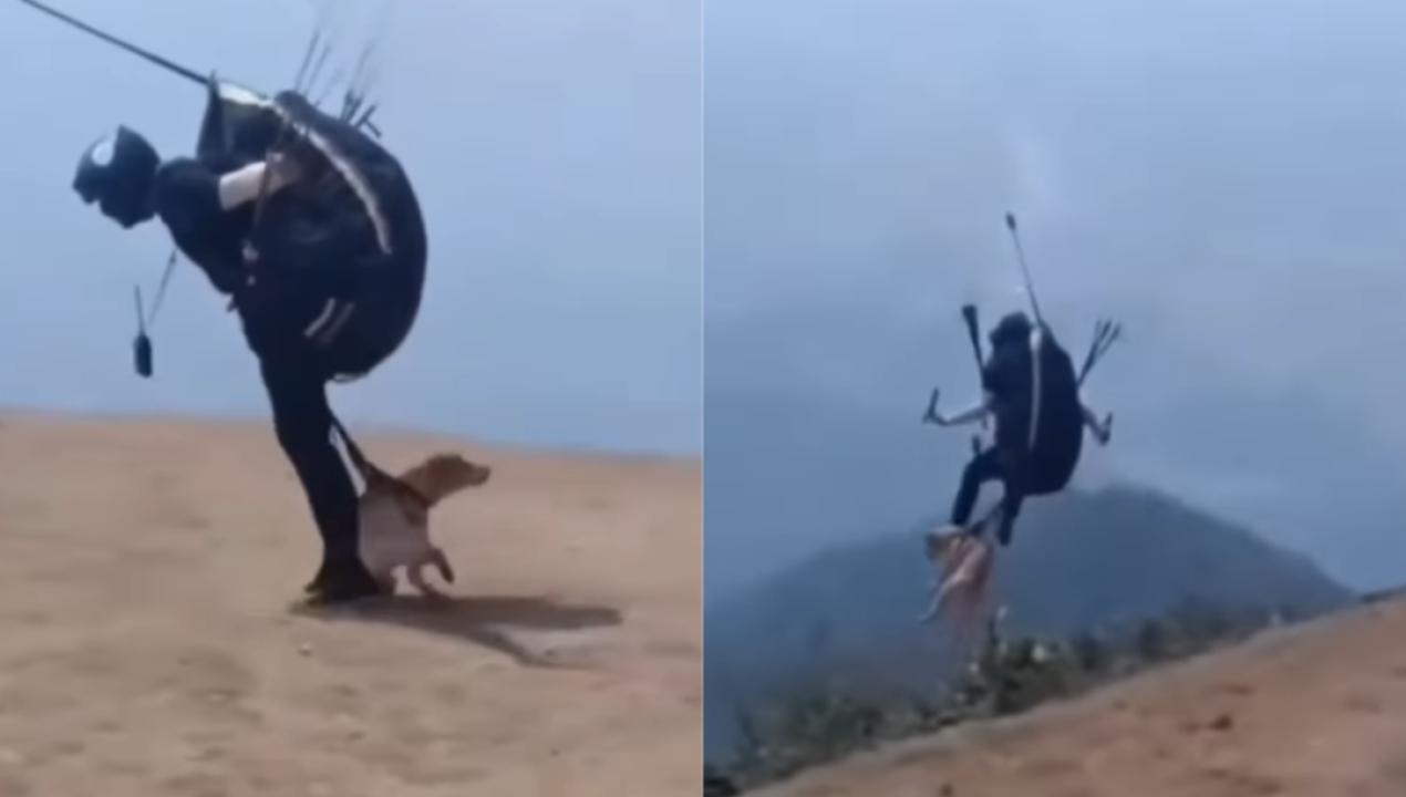 /tendencias/hombre-causa-indignacion-al-obligar-a-su-perro-a-lanzarse-en-parapente