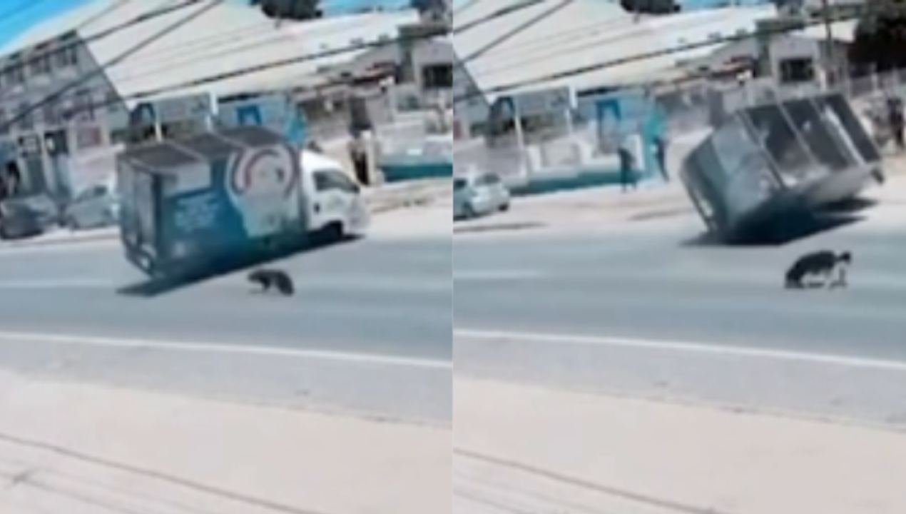 /actualidad/impactante-accidente-en-el-quisco-camion-repartidor-volco-al-evitar