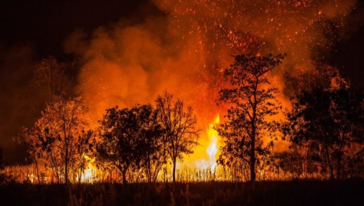 /regionales/region-de-valparaiso/agricultor-detenido-en-santo-domingo-por-presunta-responsabilidad-en