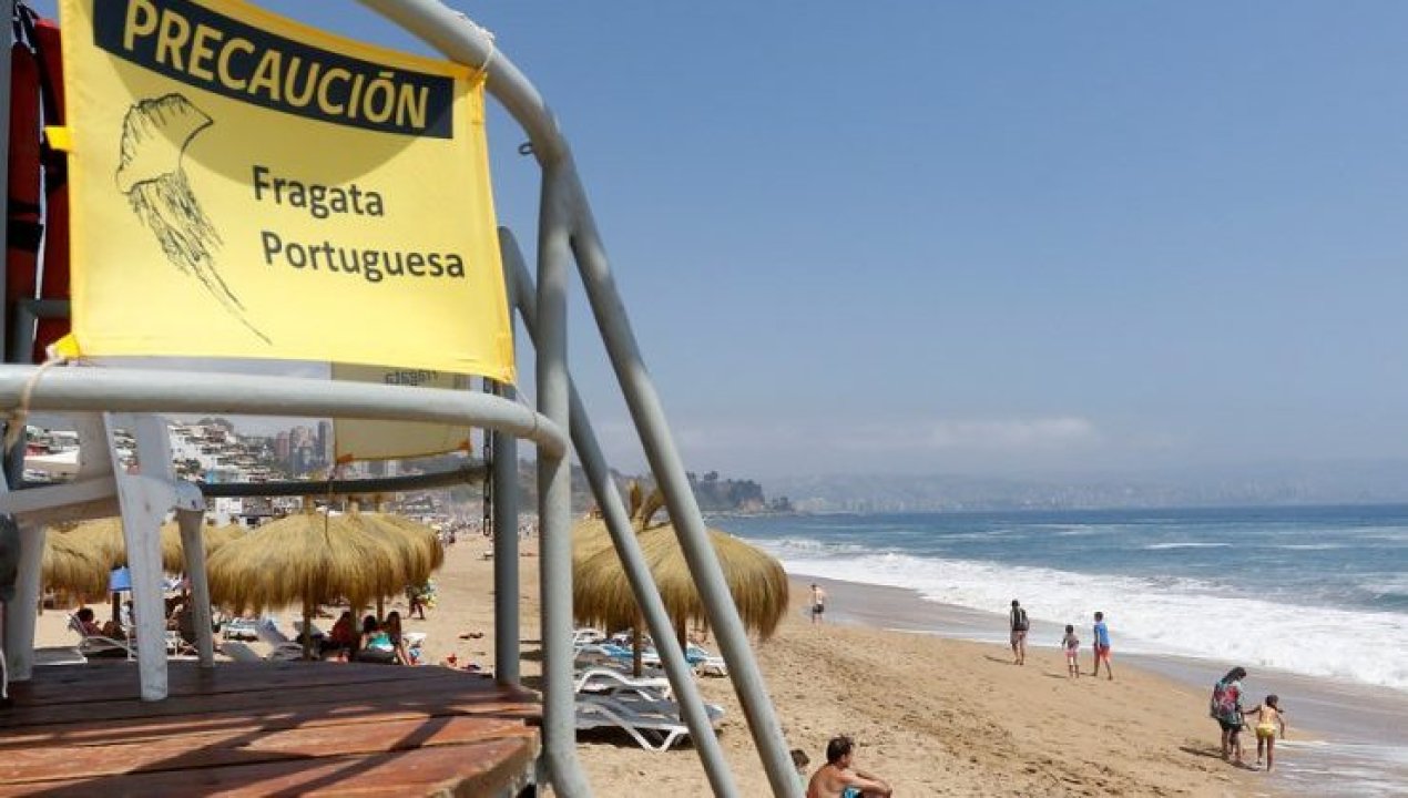/actualidad/autoridades-activan-alertas-sanitarias-por-fragata-portuguesa-en-playas-de