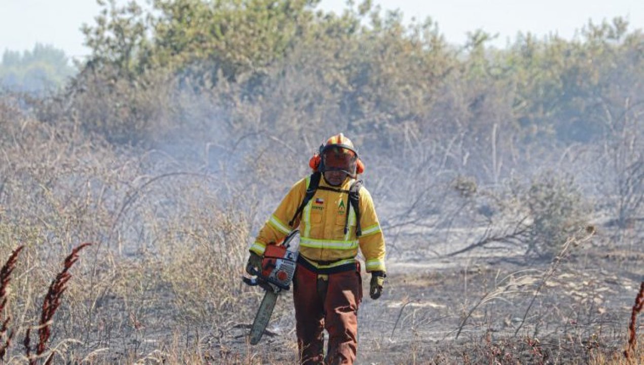 /actualidad/senapred-solicita-evacuaciones-en-distintos-sectores-del-biobio-por