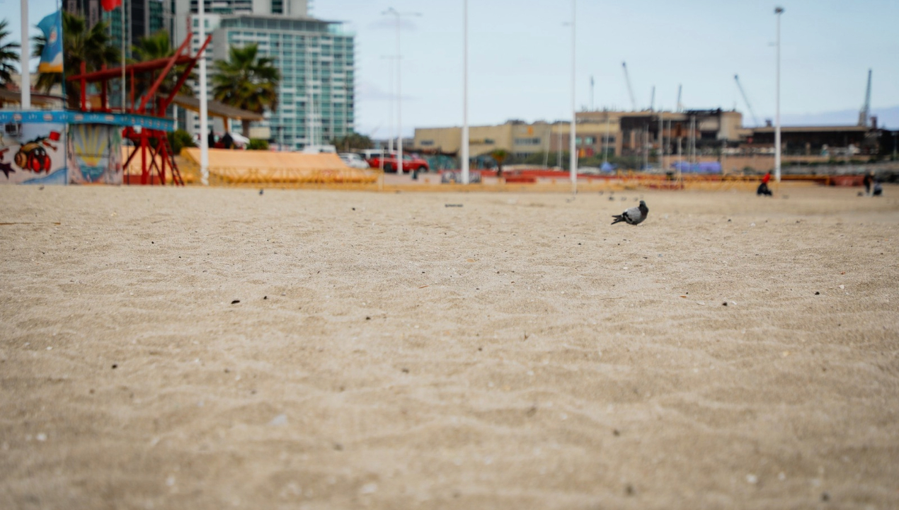 /antofagasta-contara-con-maquinas-para-limpieza-de-playas