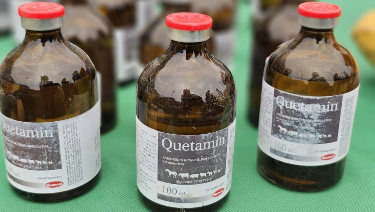 /prision-preventiva-para-extranjero-detenido-con-marihuana-y-ketamina-en