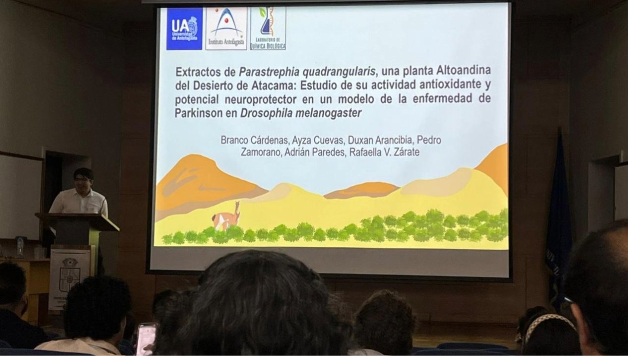 /presentan-efectos-de-la-flora-altoandina-en-la-enfermedad-de-parkinson-y-de